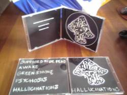 Compulsory Fail : Hallucinations